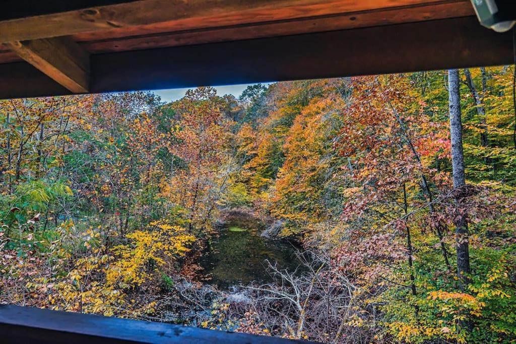 Вилла Mama Bear'S Retreat Севьервилл Экстерьер фото